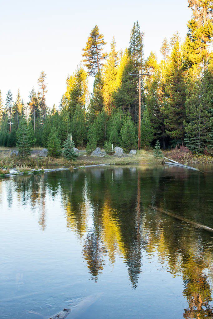 Reflections in the creek