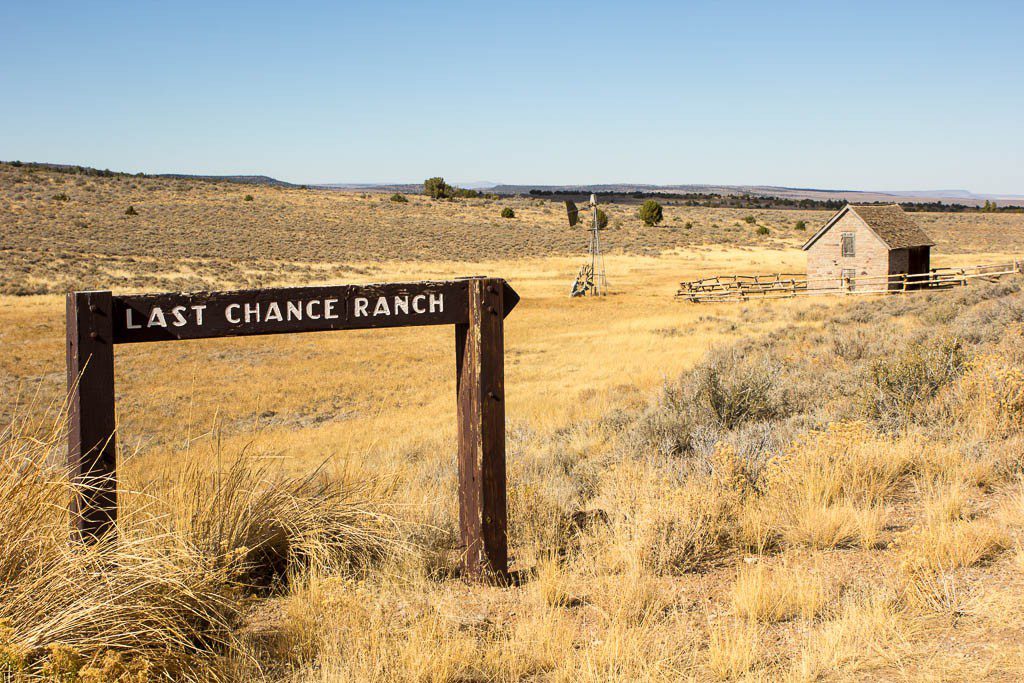 Last chance ranch