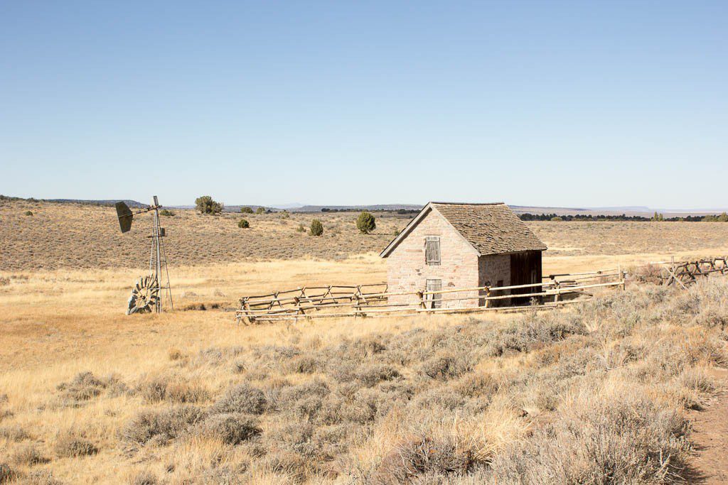 Cute little homestead