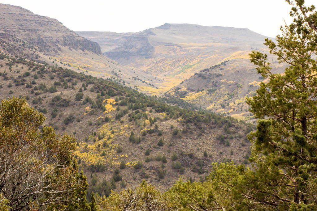 Mountain tops