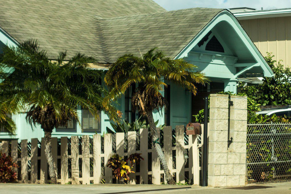 Typical suburbia. I love looking at the different types of houses in new areas. 