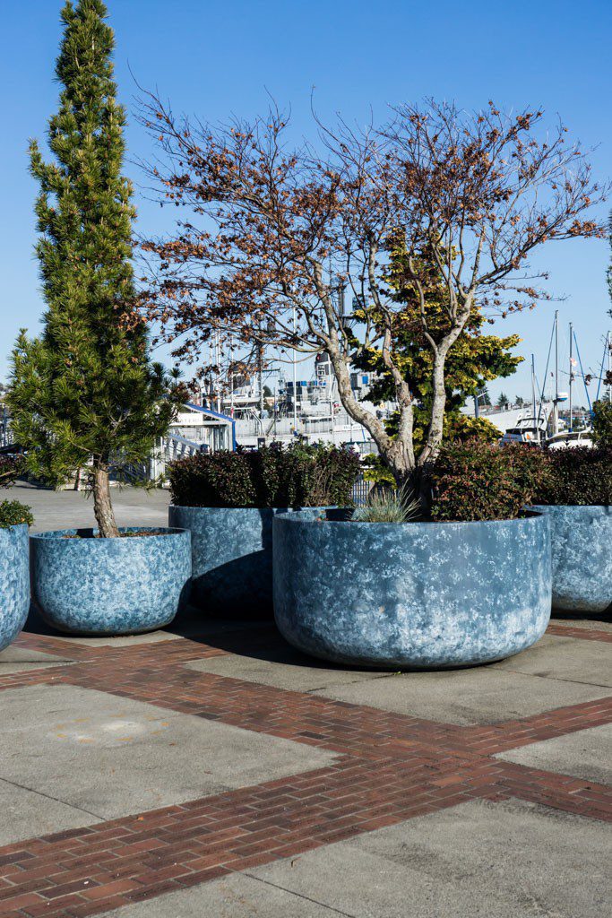 I was drawn to the repetitive blue planters. 