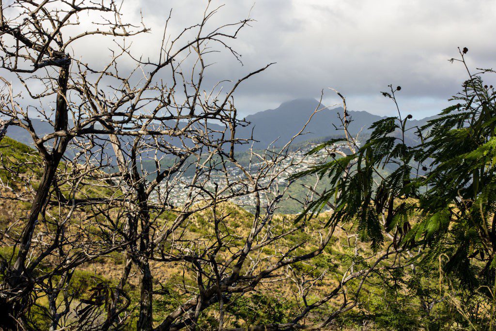 View from the top.