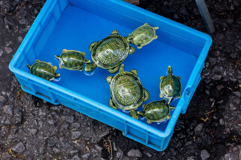 Little floating bobblehead turtles. 