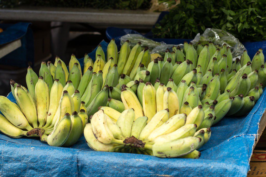 Fresh bananas