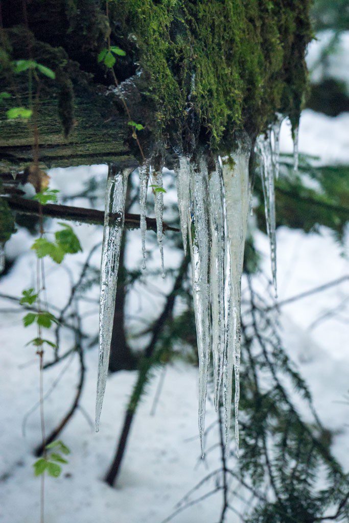 Icicles!