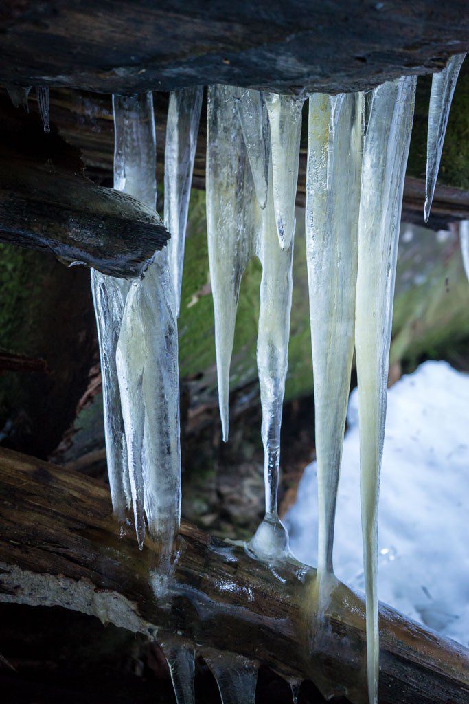 More icicles! Haven't seen one in a long time...