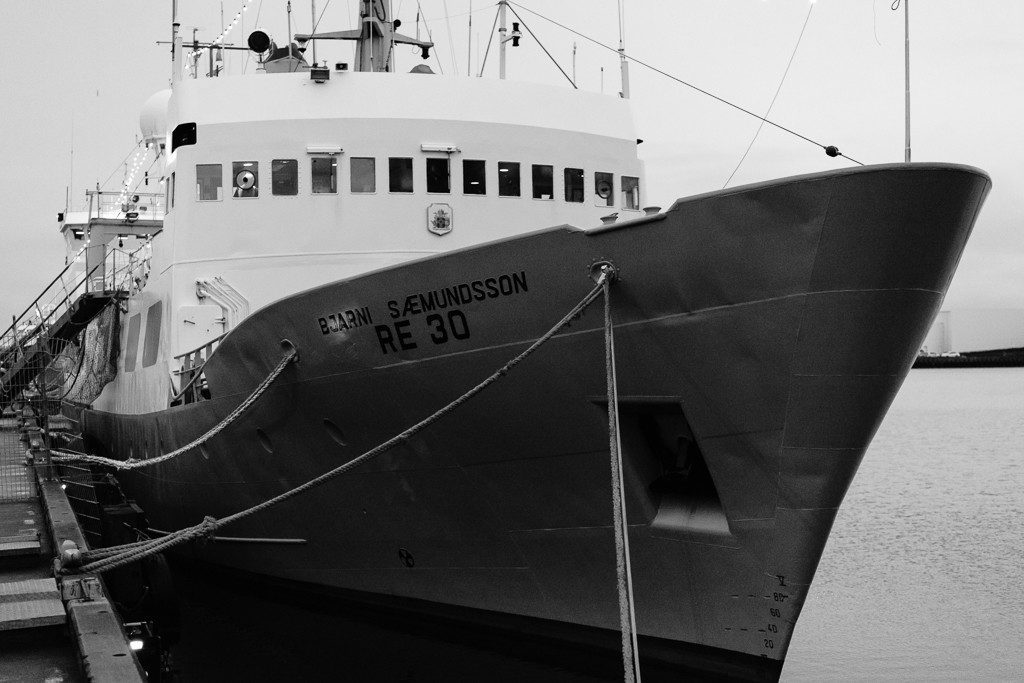 The first thing I notice here is that this boat has a LOT of windows.