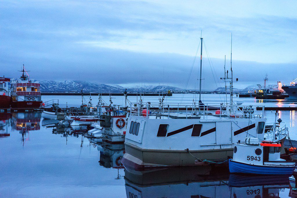 There was ONE sailboat there...the rest were fishing boats.