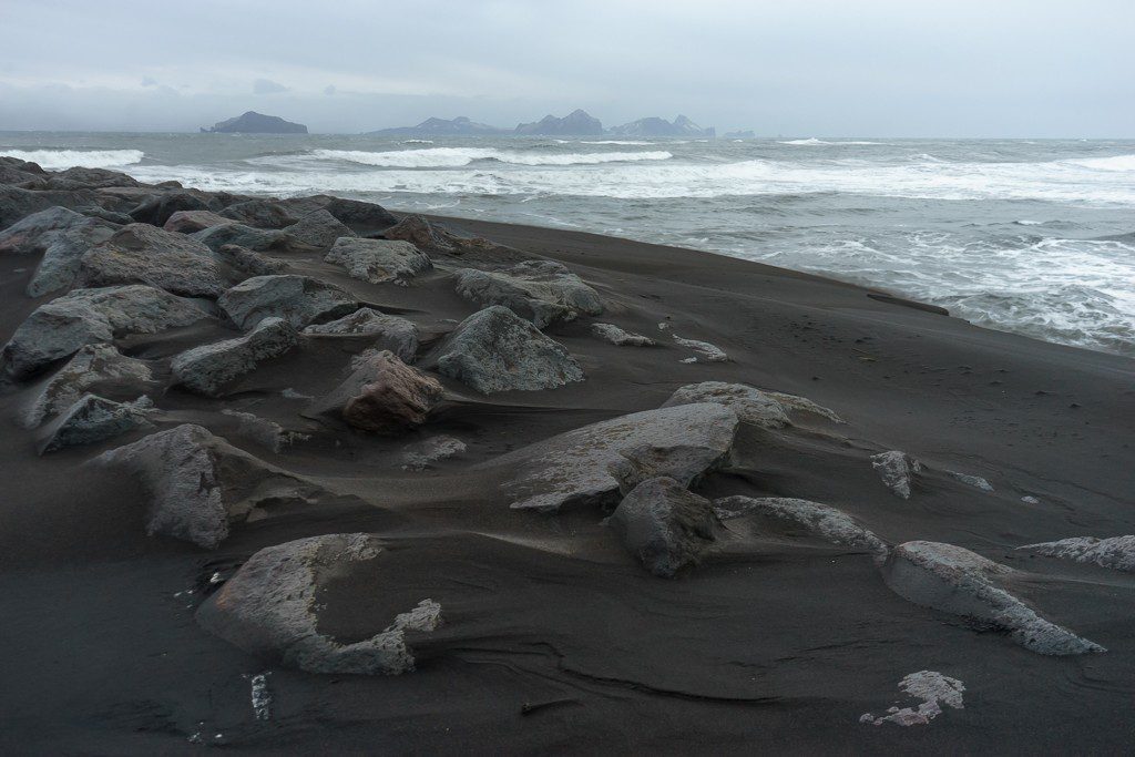 Windswept shoreline