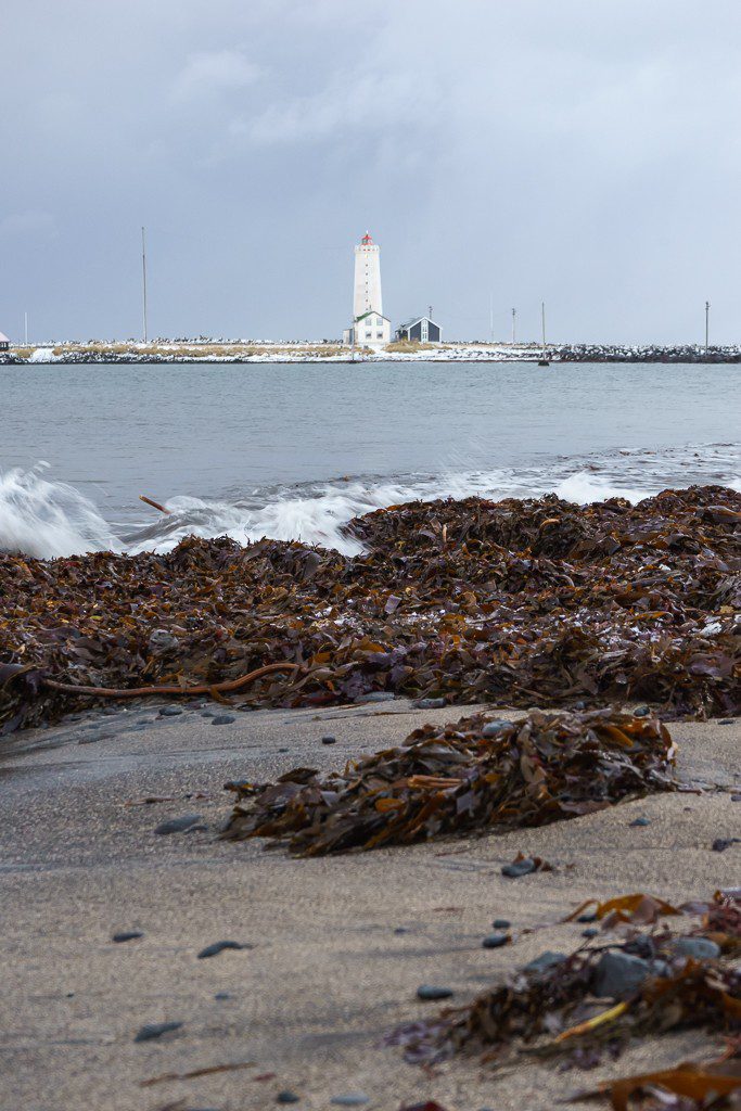 I snuck down and played on the beach. I MAY have picked up a few rocks...