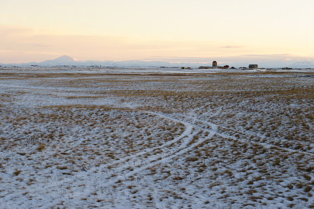 Tracks through the field