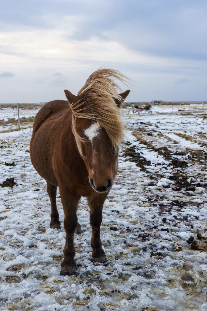 Cold and windy