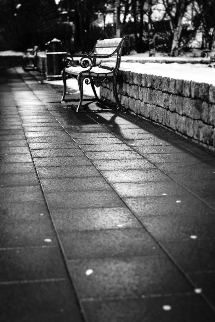 Lonely park bench