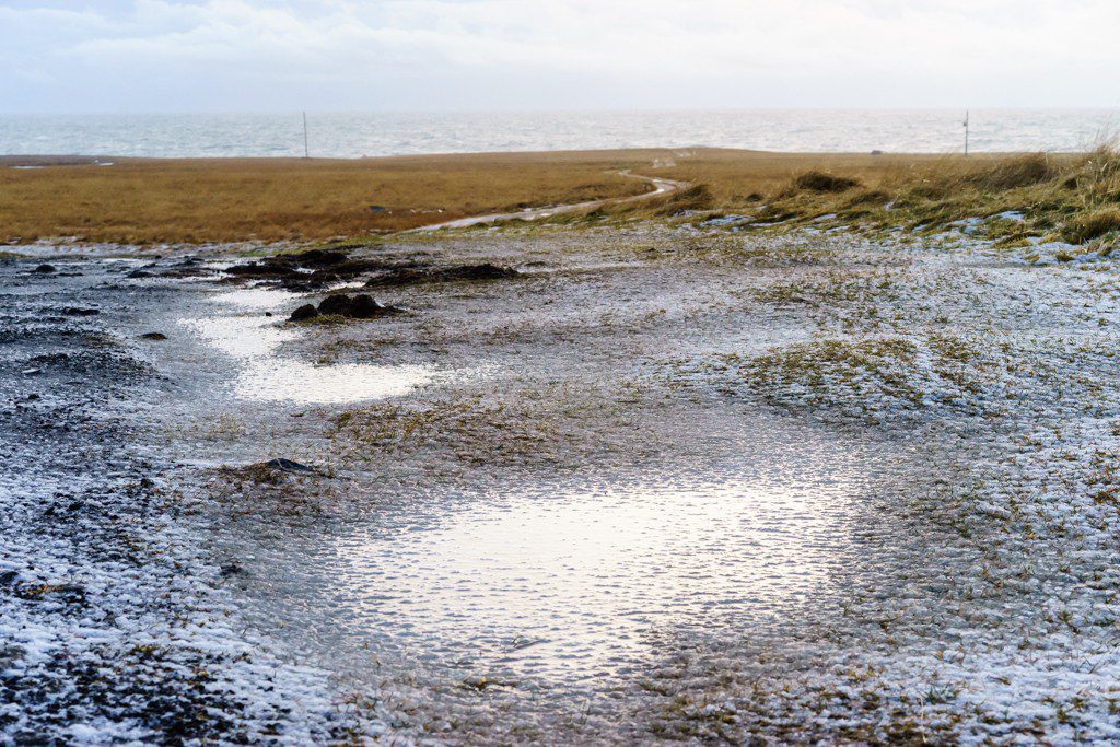 Road continues to the ocean