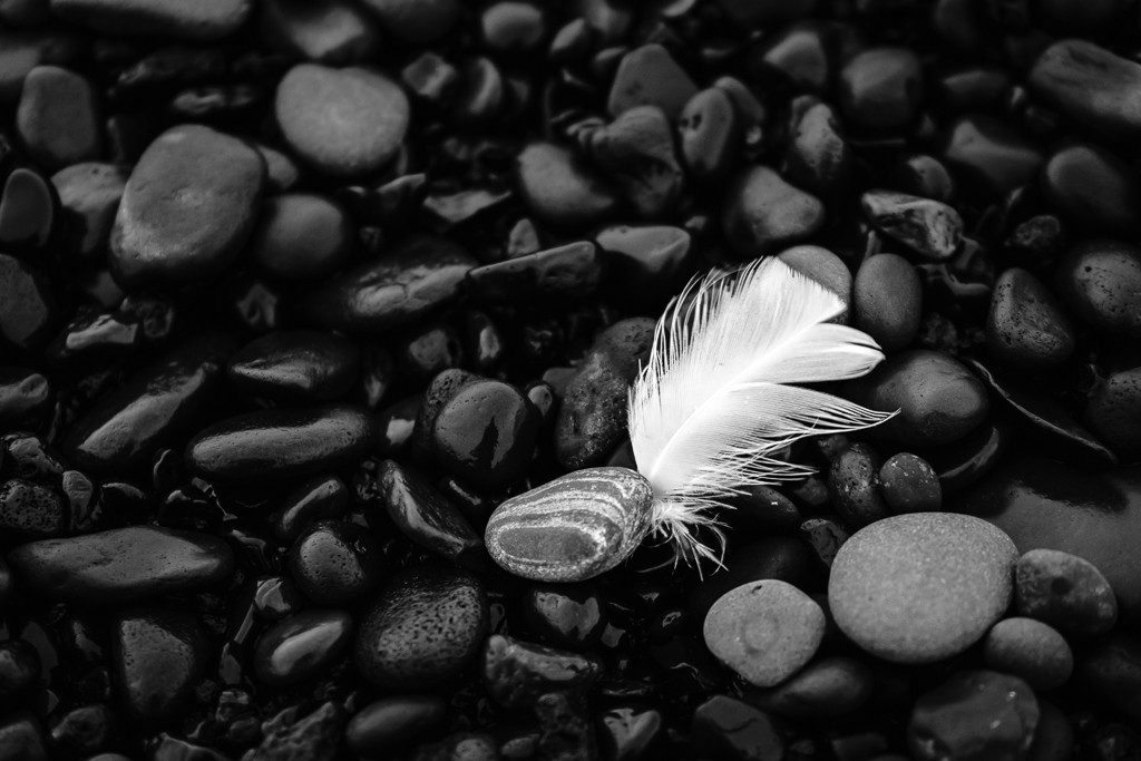 Feather and rocks