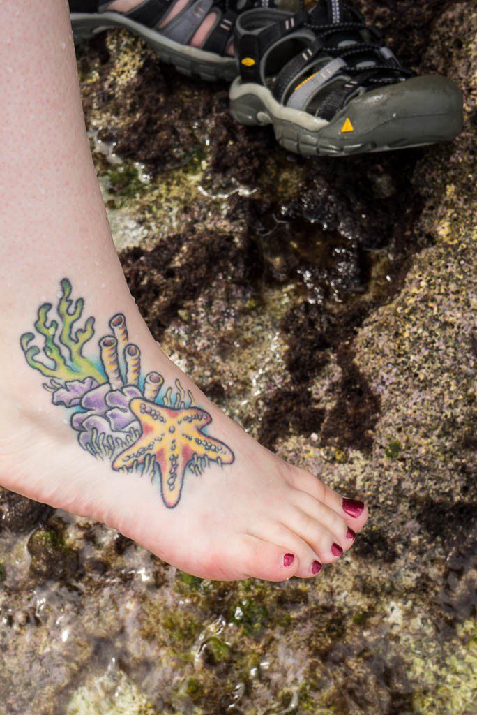 Tara's underwater tattoo looks right at home on the beach.