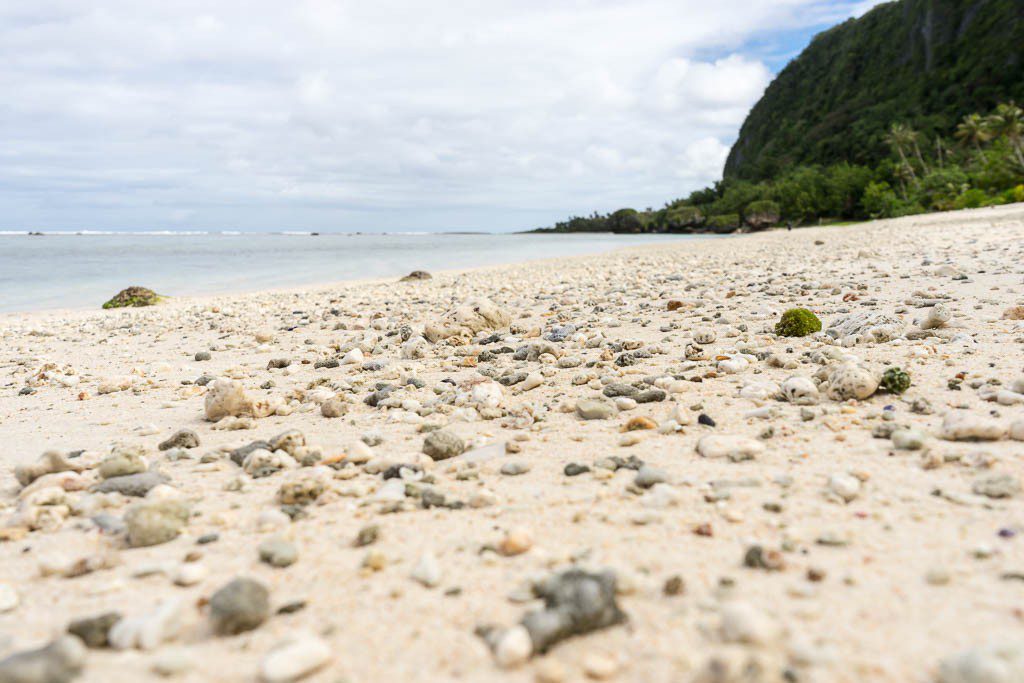 Shells and coral on the sand