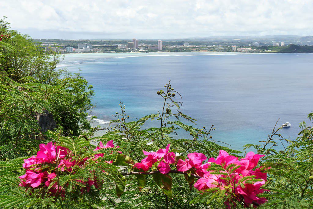 View of the bay