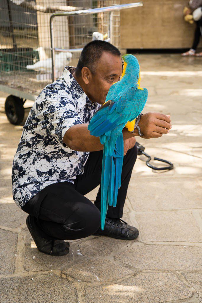 Man with one of the Hyatt's parrots