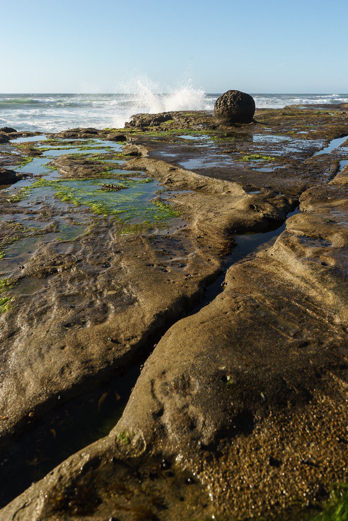 Interesting round rock out by the waves