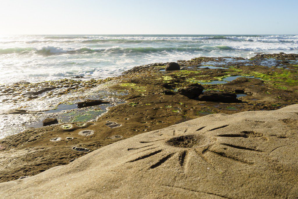 Sunshine in the sandstone