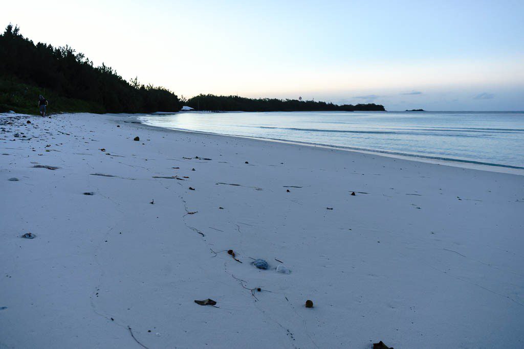 This is the lagoon at dusk