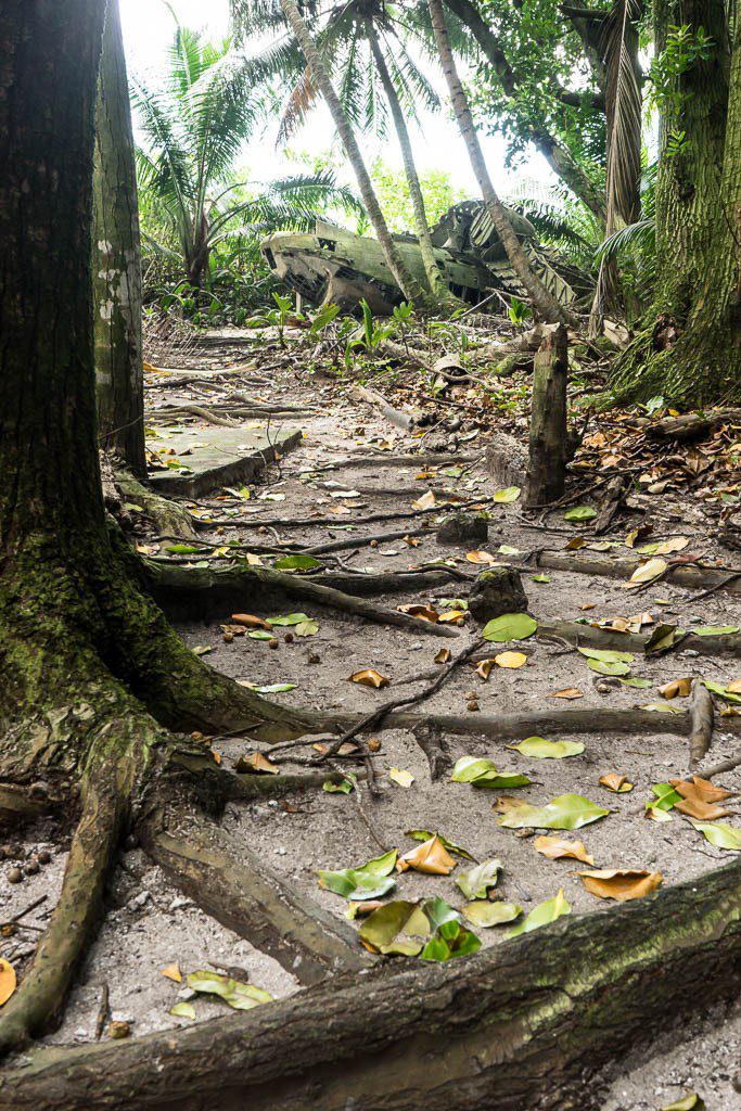 The path through the palm trees