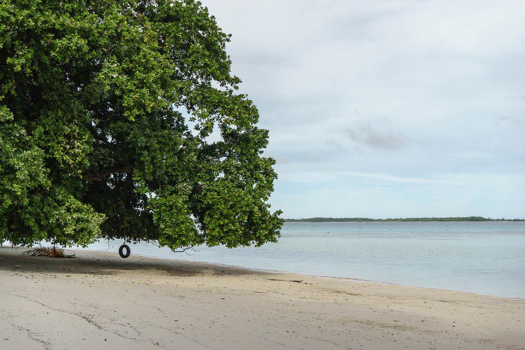 Tire swing on the beach