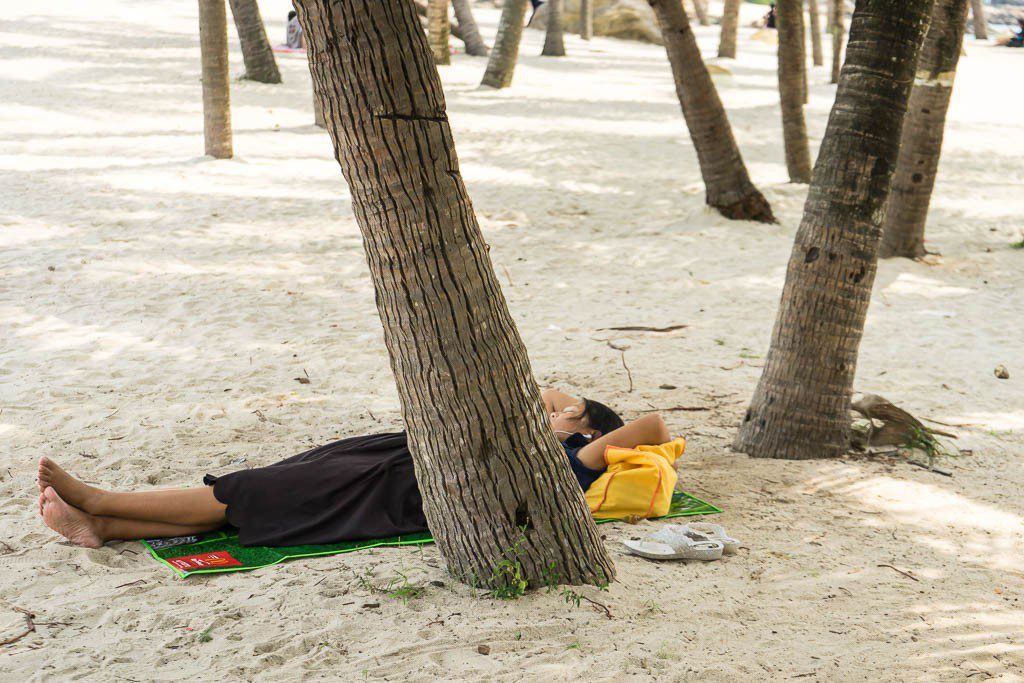 Random person beating the heat with a nap in the shade