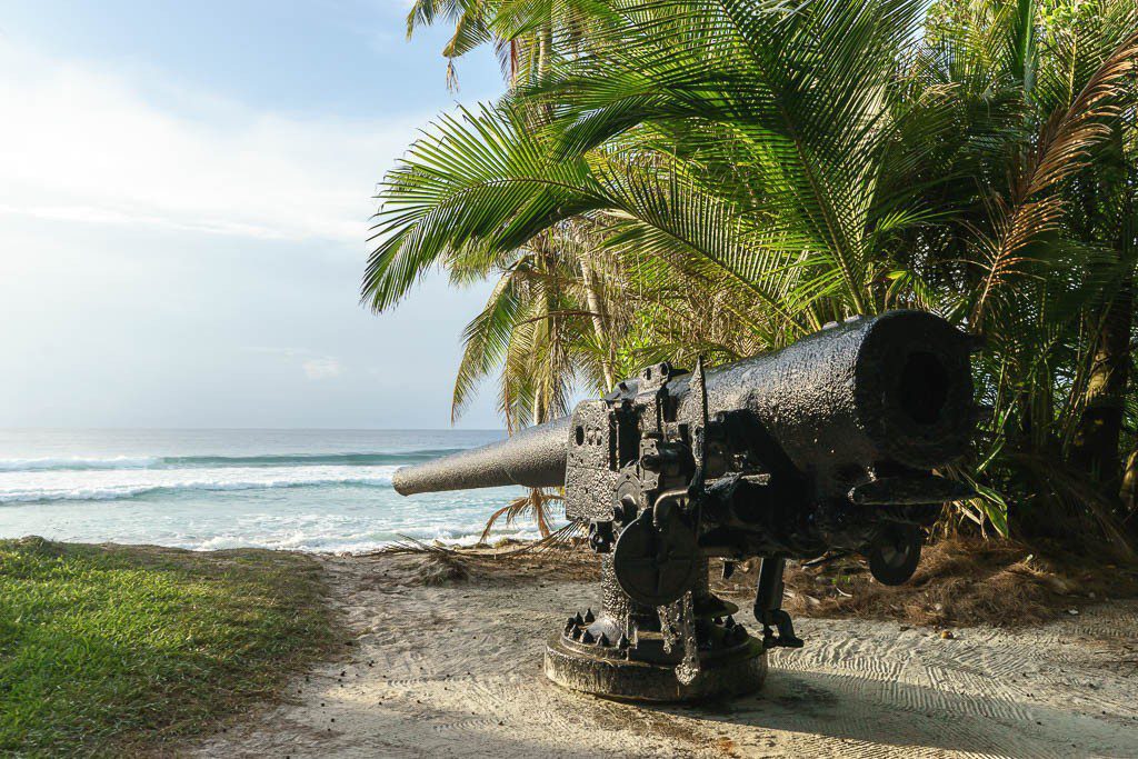 Cannons