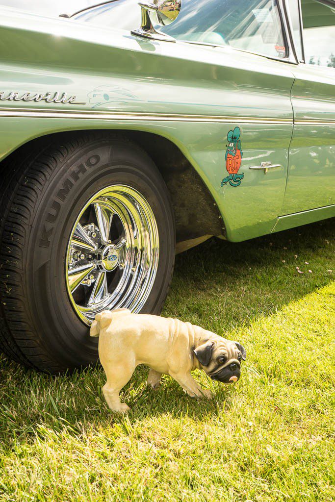 Fake pug peeing on the tires.