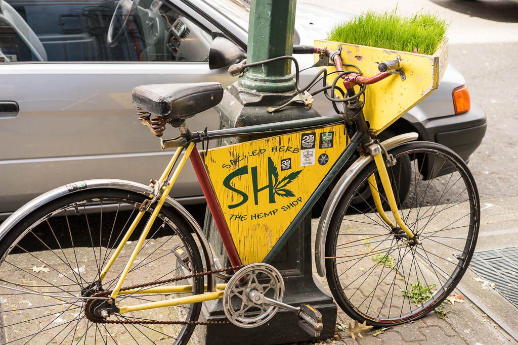 In case you want some grass while you ride your bike.