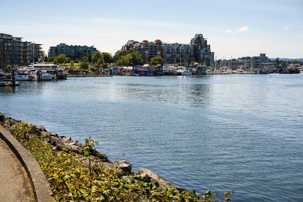 This is the Fisherman's Wharf area from the trail