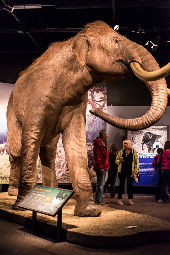 Mammoth with tourists for scale