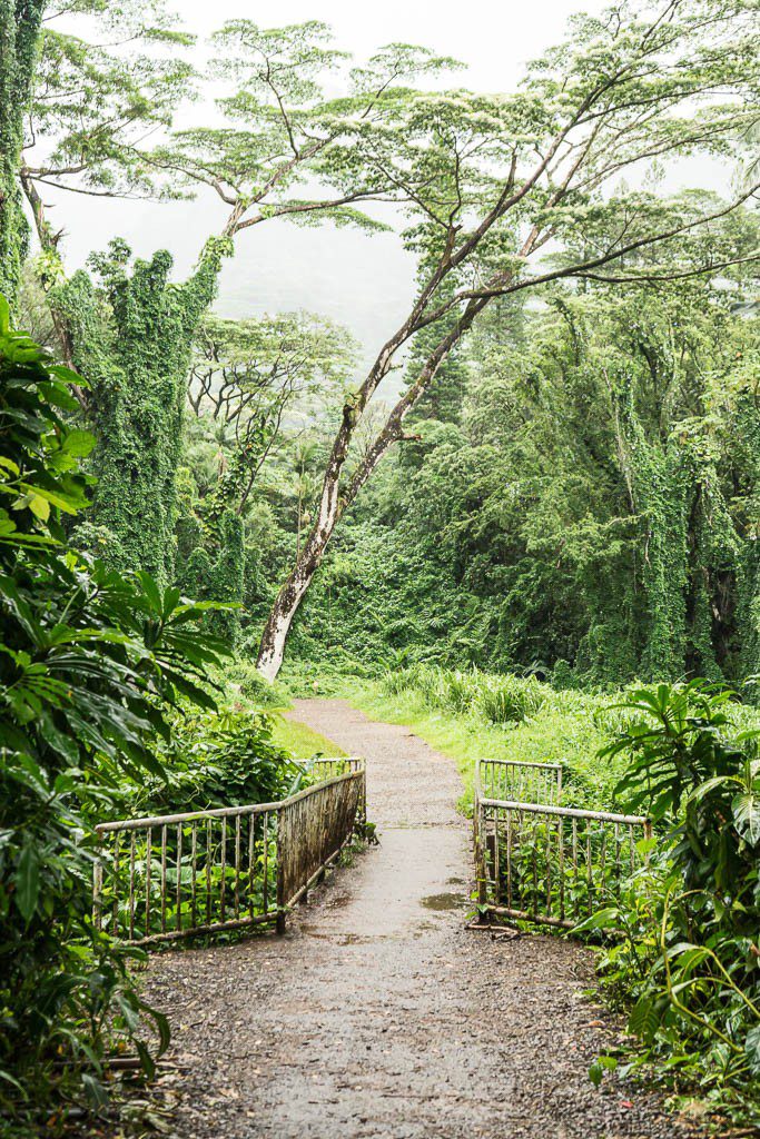 Bridge over the river