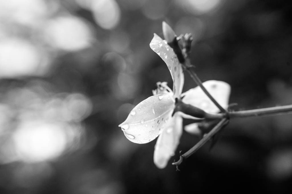 It was a black and white kinda day in more ways than one...