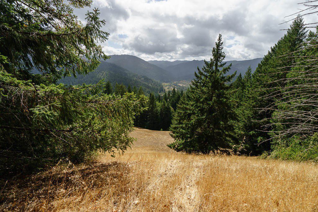 Field. We didn't see any bears, but I want a bear bell on my bicycle now anyway.