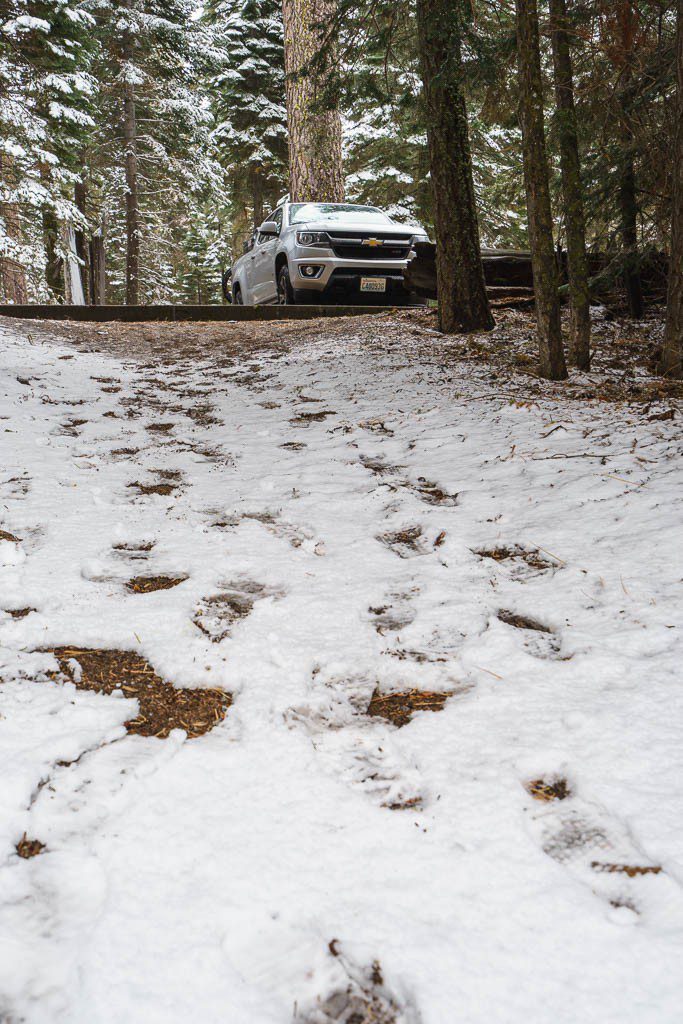 Trail to the truck. (where the heater is!)