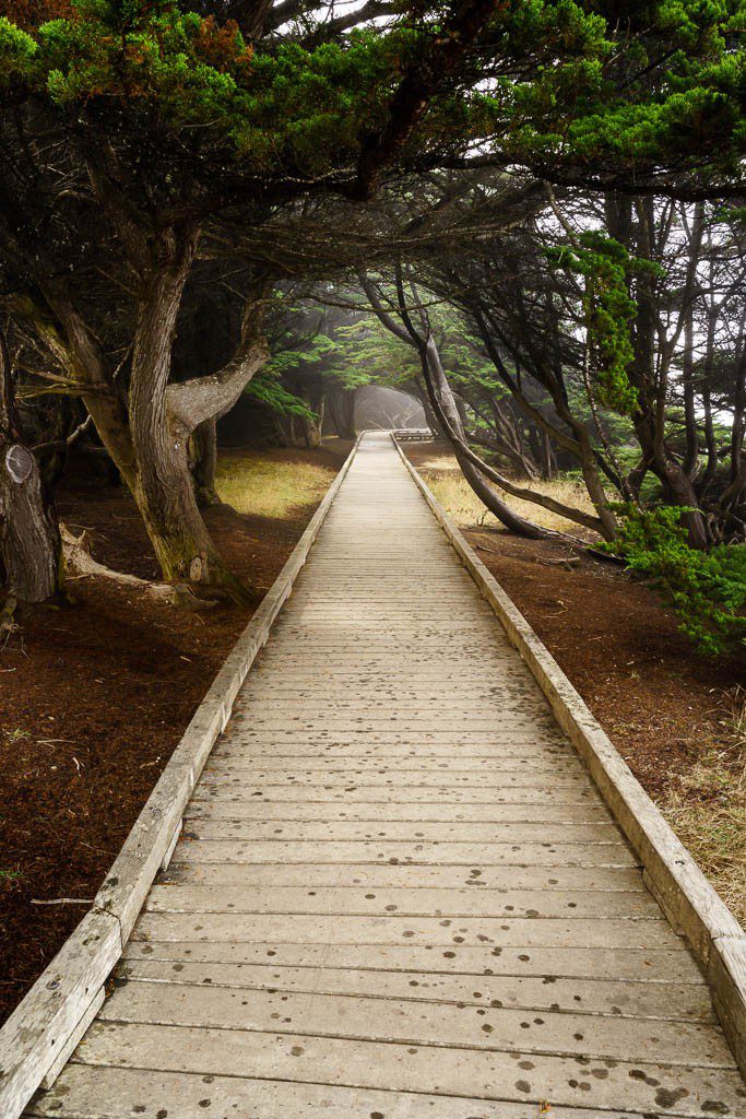 Path through the park