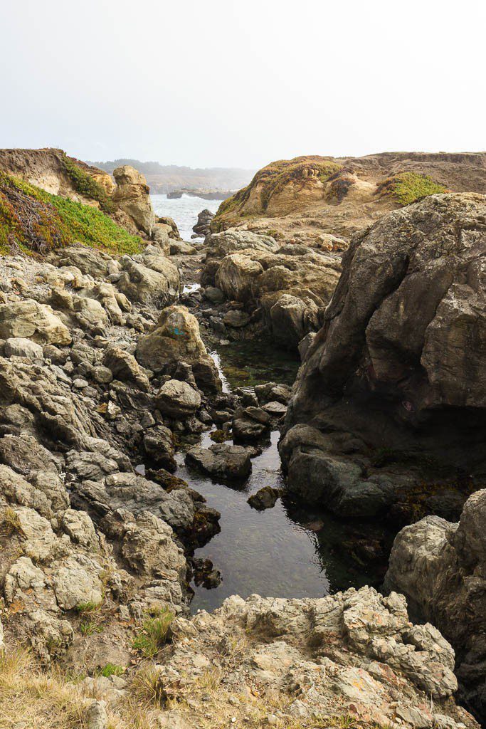 Tide pools