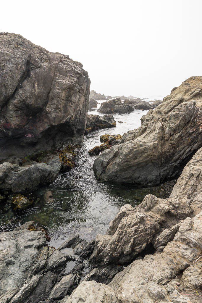 More tide pools. The water was coming up while we were there.