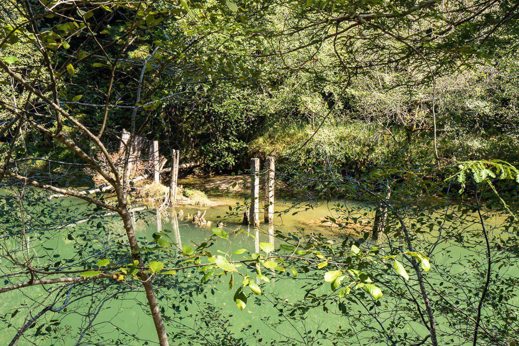 This river was used for logging, so these pilings were part of that somehow