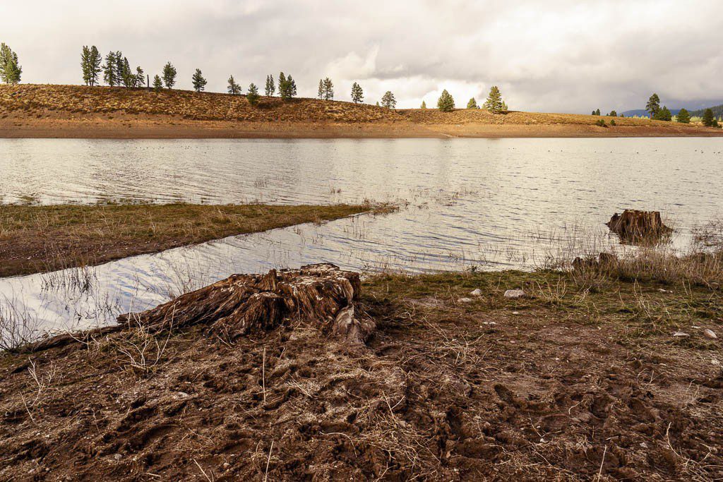 Lovely golden light, too bad the mud is literally frozen solid.