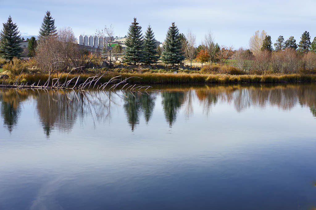 River reflections