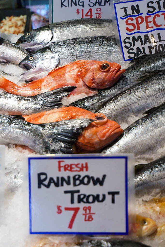 I don't think those are rainbow trout.