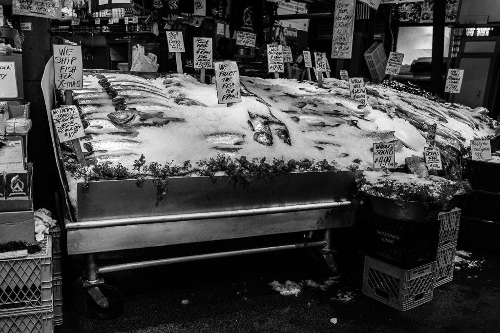 Tray of frozen fish