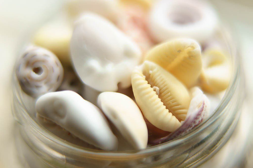 Shells on the windowsill 