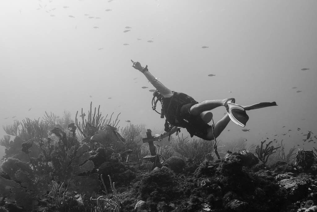 Gringo at an underwater memorial for someone he knew.