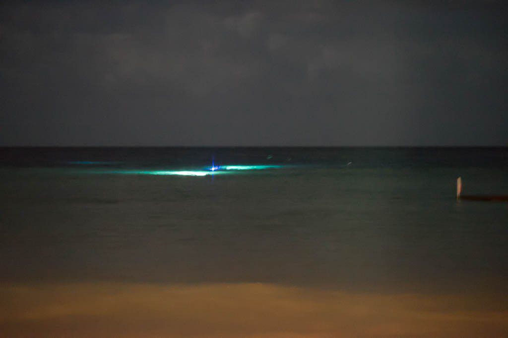 Shitty photo of people heading out for a night dive